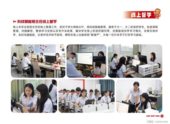 本丨山东专升本培训行业标杆尊龙凯时app师大教育专升(图11)