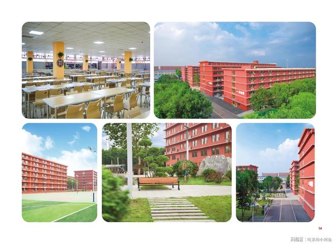 本丨山东专升本培训行业标杆尊龙凯时app师大教育专升(图17)